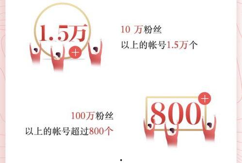 头条小说作者怎么关注,轻松掌握热门作者动态