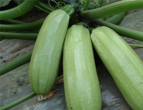 西热吃瓜,揭秘娱乐圈背后的那些事儿