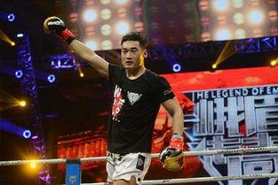 上个擂台的武术明星,揭秘上个擂台风云人物