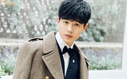 摩羯座男明星采访,揭秘摩羯座男明星的内心世界与演艺之路