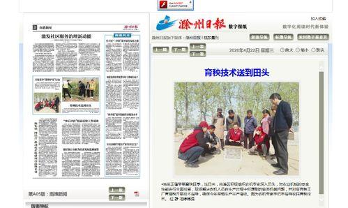 滁州龙山新闻头条号,聚焦发展新篇章，共绘美好未来蓝图