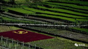 秦墩墩头条,聚焦热点，洞察社会脉动