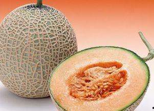 吃哈密瓜可以吃布洛芬吗,同食是否可行？