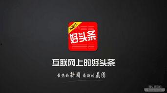 中国最好的网站头条,创新科技引领未来