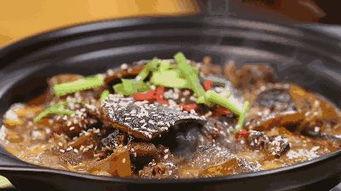 哈尔滨网红甲鱼店地址,探寻城市美食新地标