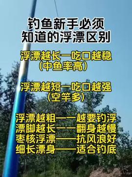 今日头条滨州钓鱼群,畅享垂钓乐趣，共享钓鱼心得