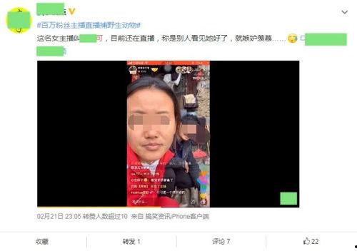 网红 直播 调声音,音效调音的艺术与魅力