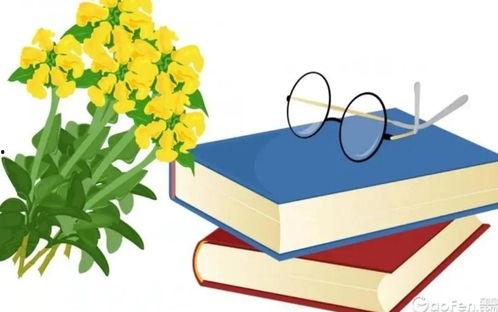 头条如何学好知识,高效掌握知识的学习秘籍