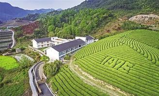 海曙区网红淡竹民宿发展,海曙区网红民宿的崛起与魅力