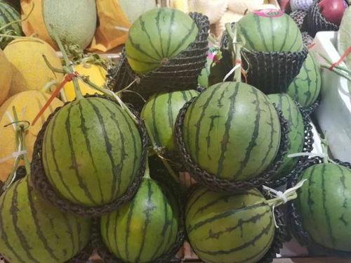 满族吃瓜,瓜果飘香中的传统美食文化