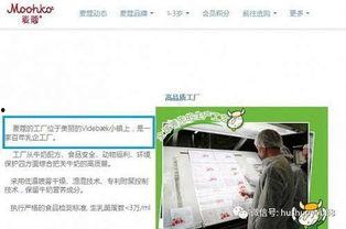 麦蔻被爆料视频大全,揭秘网络红人背后的真相
