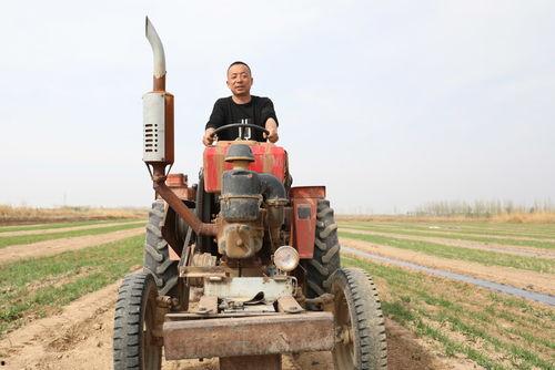 合肥今日头条新农人,耕耘新时代，共筑乡村振兴梦