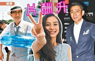 明星的最新报道,揭秘私生活与事业新篇章