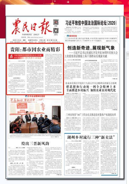 贵阳农民今日头条