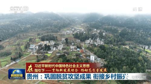 蕲春县太湖村新闻头条,乡村振兴新典范，绿色发展谱新篇